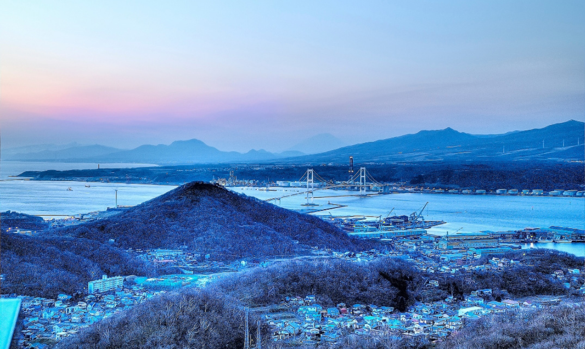 北海道産の真子